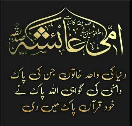 بنتِ صدِّیق آرامِ جانِ نبی
اس حریمِ بَراءت پہ لاکھوں سلام
یعنی ہے سورۂ نور جن کی گواہ
ان کی پُرنور صورت پہ لاکھوں سلام
17 رمضان المبارک
یوم وصال زوجہ رسولﷺ ام المؤمنین سیدہ طیبہ طاہرہ عابدہ زاہدہ عائشہ صدیقہ رضی اللّٰہ تعالٰی عنہا