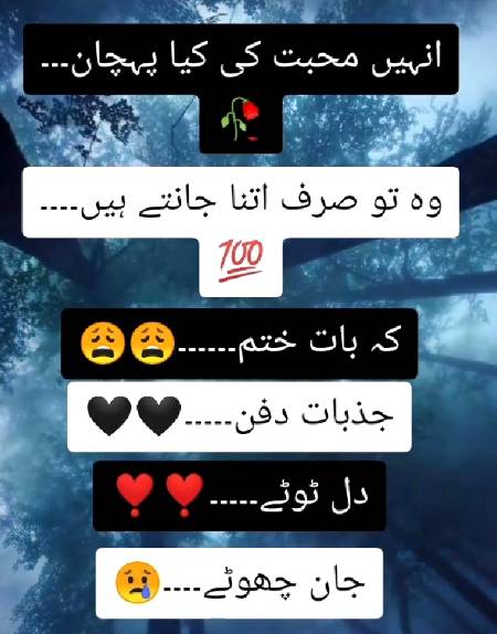 Kisi ko dhoka de kr ye Mt smjhna k Kitna bewqoof tha.
YE sochna us ka tum pr etbar Kitna tha