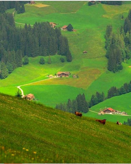 Waooo nice place