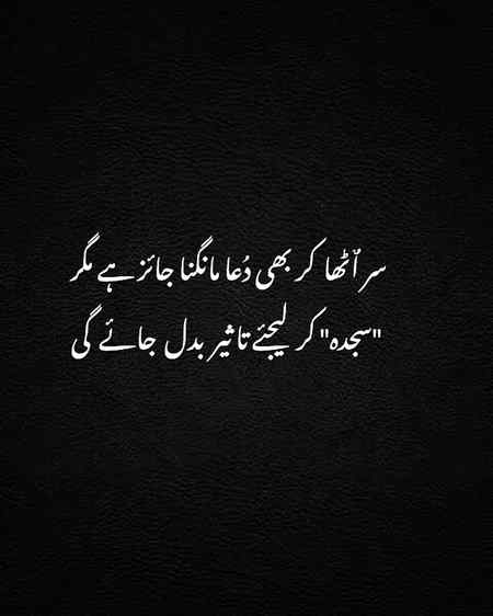 Hlo friends