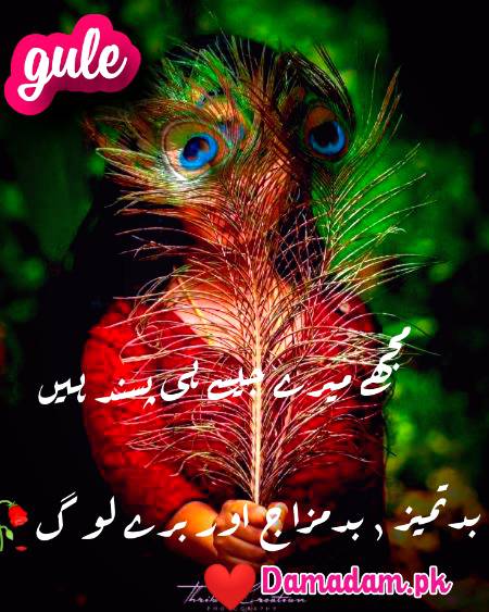 gule💕Damadam Lover🔥