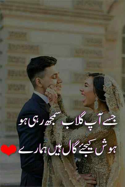 hlo.friends