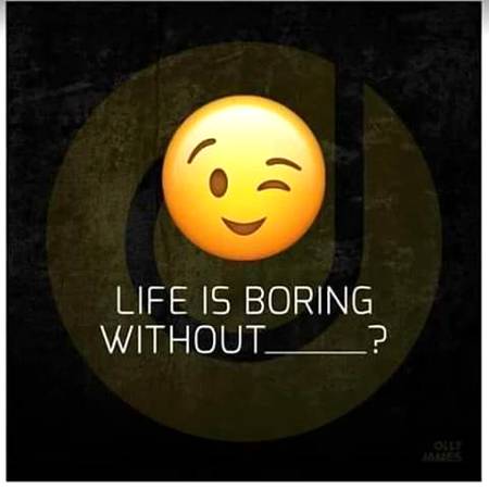 Life is boring without.....