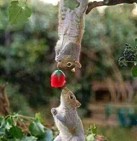 Sending by fareed ahmed shaikh