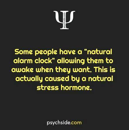 Psy fact...