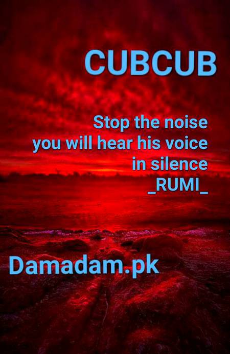 Rumi's words