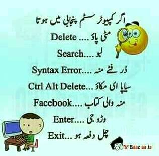 When computer system in Punjabi language