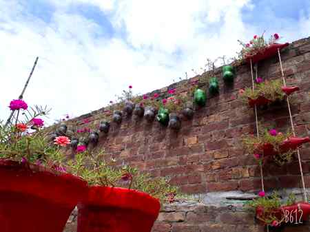 میرے پیارے پیارے پھول😍😘