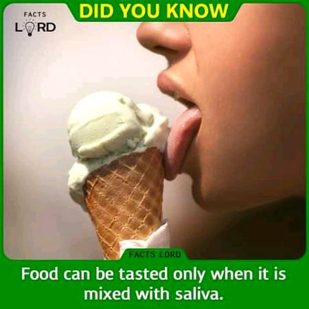 Unbelievable facts 💥💥
