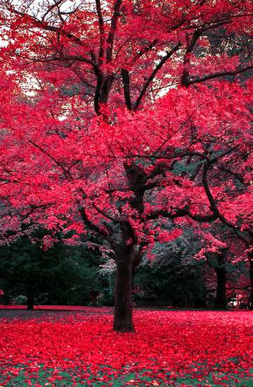 Beauty of nature