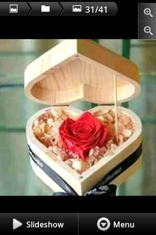 اےپُھول میرے پُھول کو یہ پُھول دے دینا___کہناکہ تیری پُھول نے یہ پُھول دیا ھے