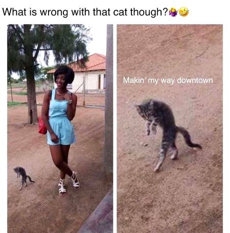 Hilarious....