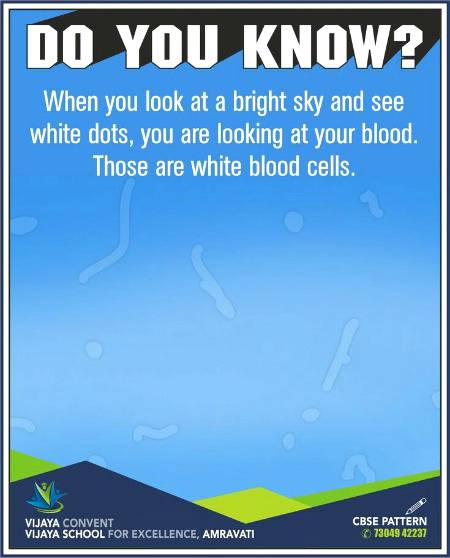 Did you know.. Important knowledge