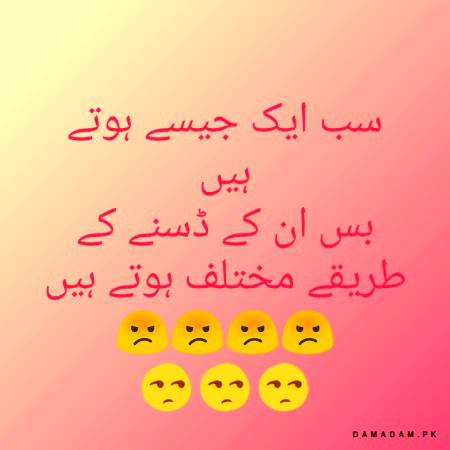 Sab aik j sy😏😏