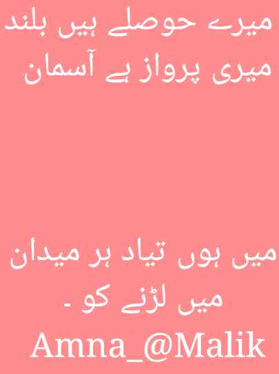 Kon lahta ha hum kamzoor hain jazba itna ha asmaan choo lain hosla itna ha pahar cheer dain.💪