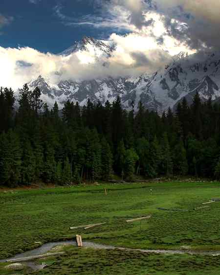 Fairy meadows ,gilgit baltistan, Pakistan