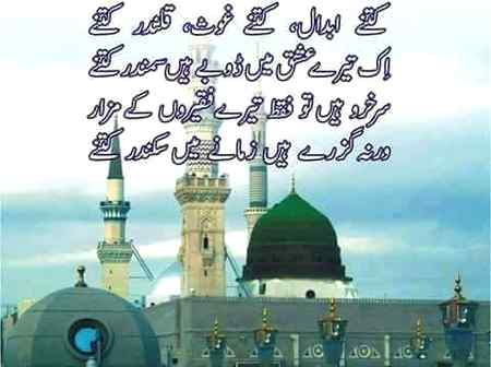 Allah Hafiz 🌹🏵️🏵️🏵️🌺🌹🌹