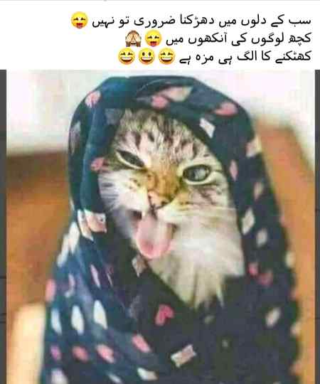 Kse ke ankho ma khtkny la alag maza hota ha😎✌✌😀🙊