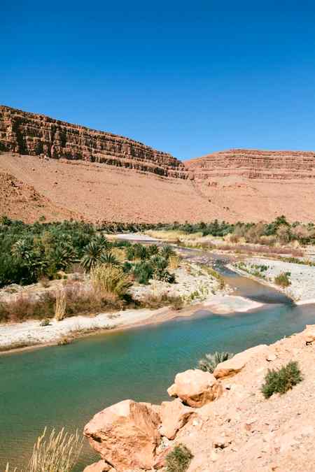 Oasis in Morocco