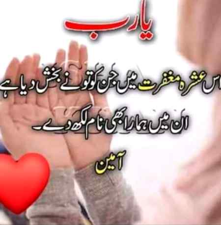 🌺❤🌺❤🌺❤🌺❤🌺❤🌺❤🌺❤🌺❤🌺