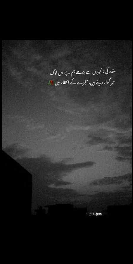 Ishq e haqiqi 💕