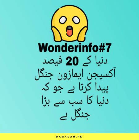 Wonderinfo_7