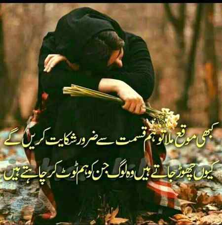 Hlo friends