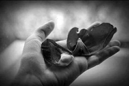 ﮨﻢ ﺩﺷﺖ ﺗﻬﮯ ﮐﮧ ﺩﺭﯾﺎ  ﮨﻢ ﺯﮨﺮ ﺗﻬﮯ ﮐﮧ ﺍﻣﺮﺕ
ﻧﺎﺣﻖ ﺗﻬﺎ ﺯﻋﻢ ﮨﻢ ﮐﻮ  ﺟﺐ ﻭﻩ ﻧﮩﯿﮟ ﺗﻬﺎ ﭘﯿﺎﺳﺎ