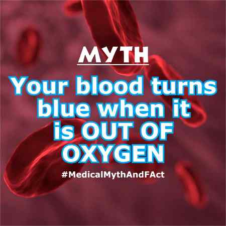 Blood colour fact