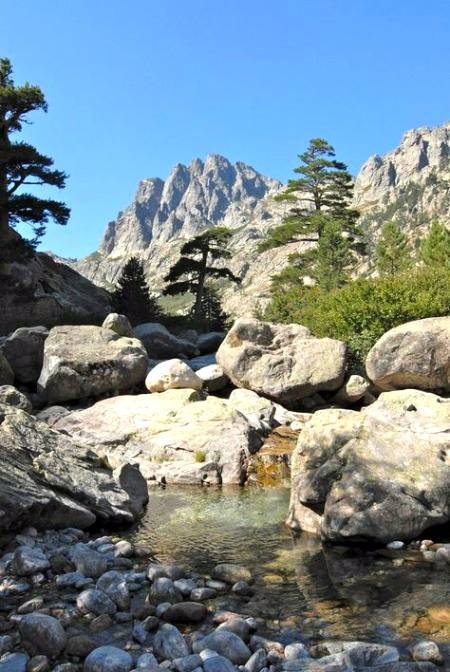 Beauty of the nature