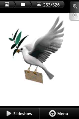 اے کبوتر گلی گلی جانا _وہ_نہ ملی تو واپس آ جانا.g4چڑیل گفٹ تیرے لئے