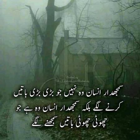 سمجھدار انسان