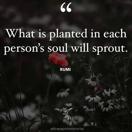 Rumi words..
