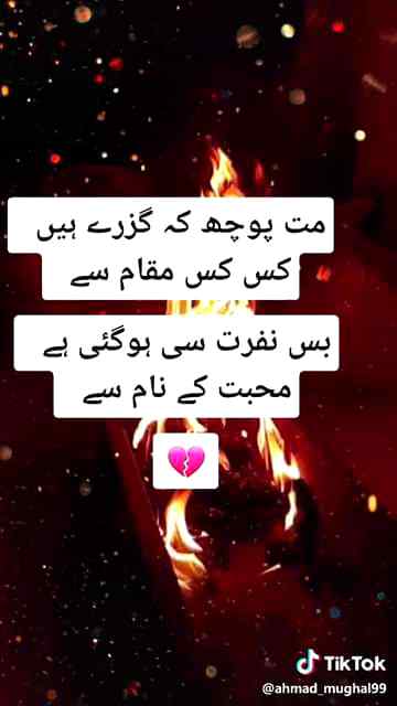 _آ_شاکر_ساڈی_زندگی_ڈیکھ__

_ودے_رلدے_ہیں_ہک_یار_کیتے_
Anum Malik 😇