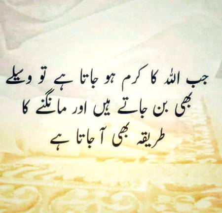 🌹🌹🌹صلی اللہ علی حبیبہ محمد نور من نوراللہ وعلی آلہ واہل بیتہ وعترتہ وازواجہ وصحبہ وجدہ وذریتہ و کل امتہ وبارک وسلم کثیراً کثیرا و دائماً ابدا 🌹🌹🌹