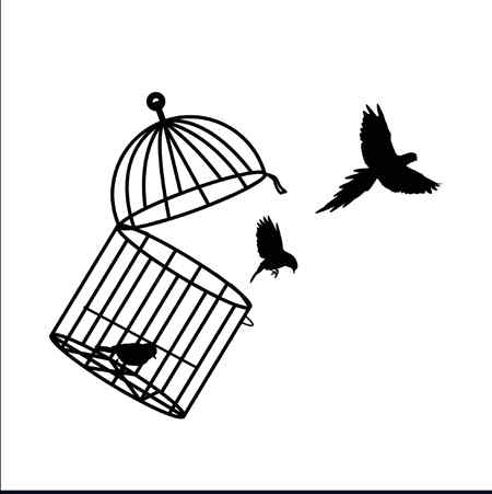 ✨
*پرندوں کی آواز سُننا چاہتے ہیں۔*
*تو ِپنجرا خریدنے سے بہتر ہے ایک پودا لگائیں۔ ".*