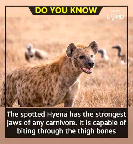 Unbelievable facts 💥💥