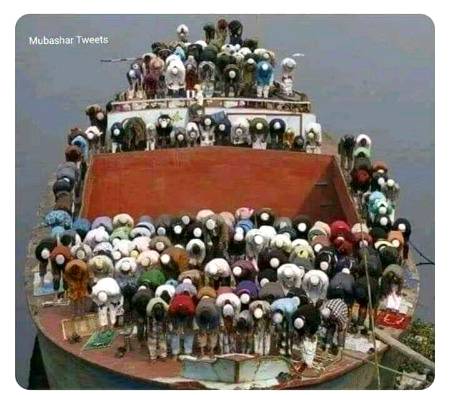 Best picture on internet today