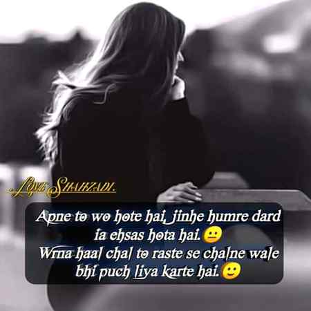 •||•^°°°°^•||•