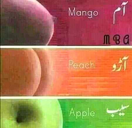 isma apko konsa fruit pasnda ha .a1
Moja mango