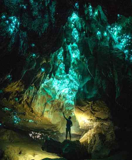 North island New Zealand