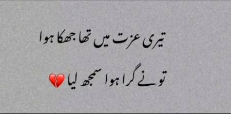 تم نے گرا ہوا سمجھہ لیا__💔.