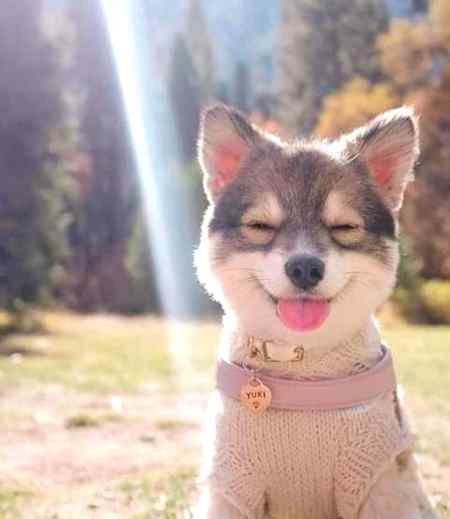 So cute ALLAH HAS CREATED EVERY  A VAST VARIETY OF CREATIONS .