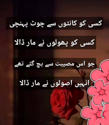 Nice⁦👌🏻⁩⁦😇