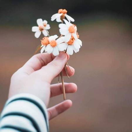 تُو کہیں پُھول سے بچھڑی ھُوئی خوشبُو تو نہیں ؟؟

تیری باتیں بھی ھیں، پروین کی نظموں جیسی....!