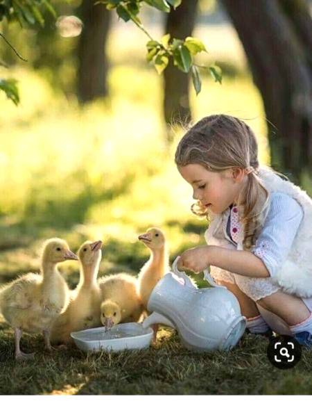...phOtoGraPy...