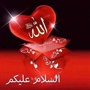 🍃صبح کا آغاز💕 ربﷻ العالمین کا ذکر کرنے سے💕 دل سے جا کر روح 🥀تک تازگی بھر دیتا ہے🍃اور بیشک💟 اللهﷻ کے ذکر میں🍃 سکون ہے🌹خوش رہیں سلامتی کے ساتھ🌹 آمین