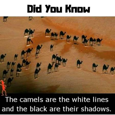 Unbelievable facts