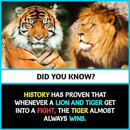 did you know