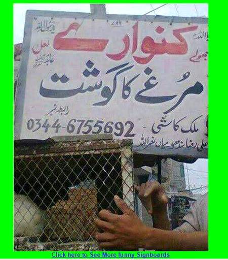 Kaisy kaisy log hai yaha